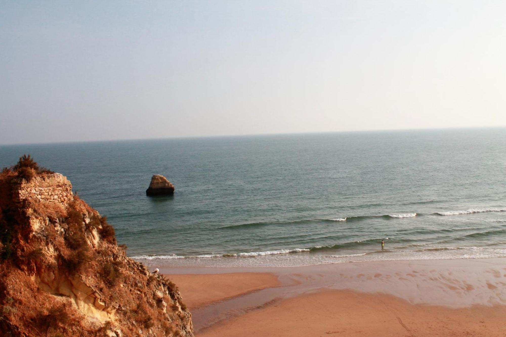 Praia Da Rocha, Vila Rosa, T1, Piscinas, Parqueamento E Internet By Ig Portimão Dış mekan fotoğraf